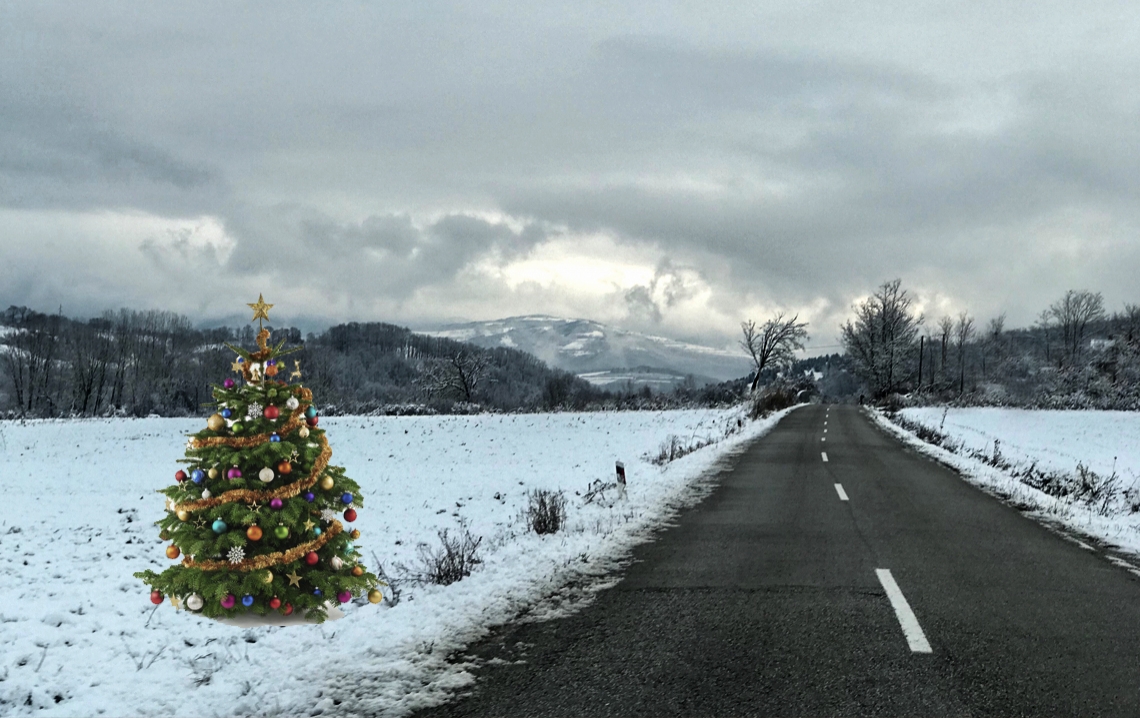 Novogodišnja sreća